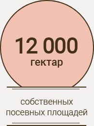 12000 га собственных посевных площадей